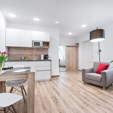 Old Town Aptartments - B23 アパート クラクフ